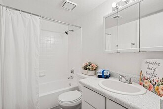 Casa Bella in Tucson, AZ - Building Photo - Building Photo