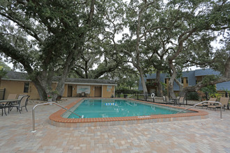 Victoria Palms Apartments in Dunedin, FL - Building Photo - Building Photo