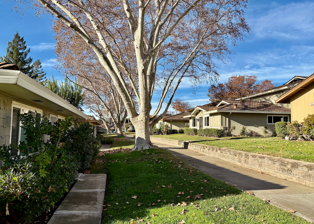 861 Gilchrist Walkway in San Jose, CA - Building Photo