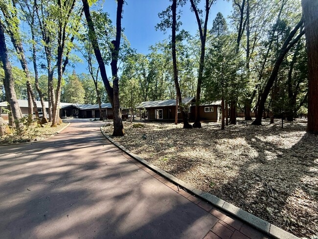 13240 Loma Rica Dr in Grass Valley, CA - Building Photo - Building Photo