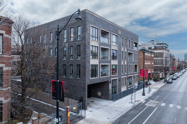 1901 N Halsted St in Chicago, IL - Building Photo - Building Photo