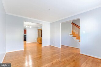 9909 Millies Manor in Laurel, MD - Building Photo - Building Photo