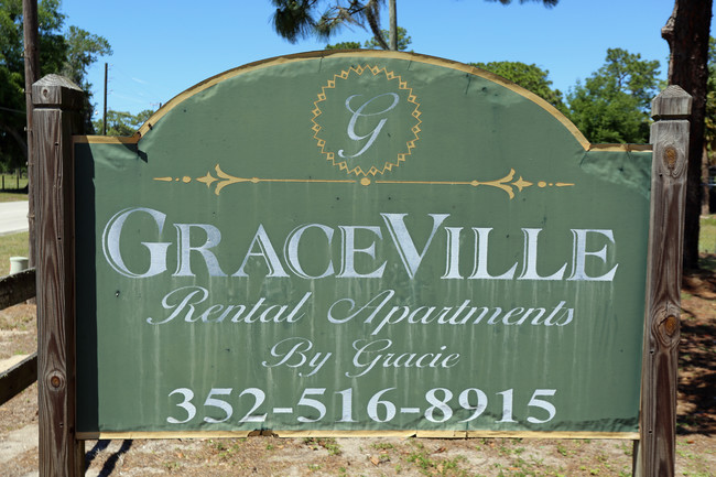 1581 CR 470 in Lake Panasoffkee, FL - Foto de edificio - Building Photo