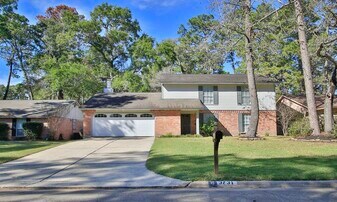 3731 Windy Haven Dr in Houston, TX - Building Photo