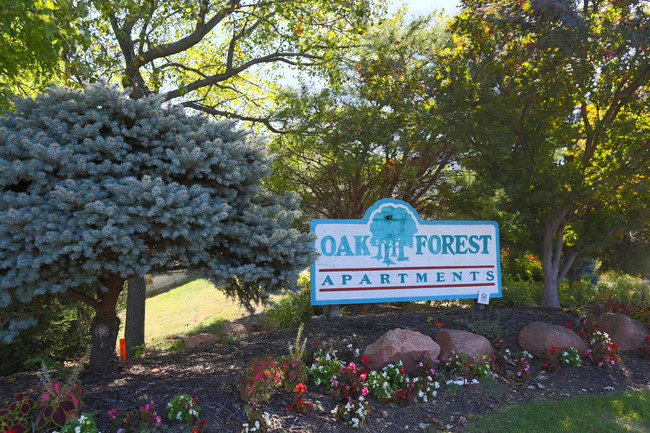 Oak Forest Apartments photo'