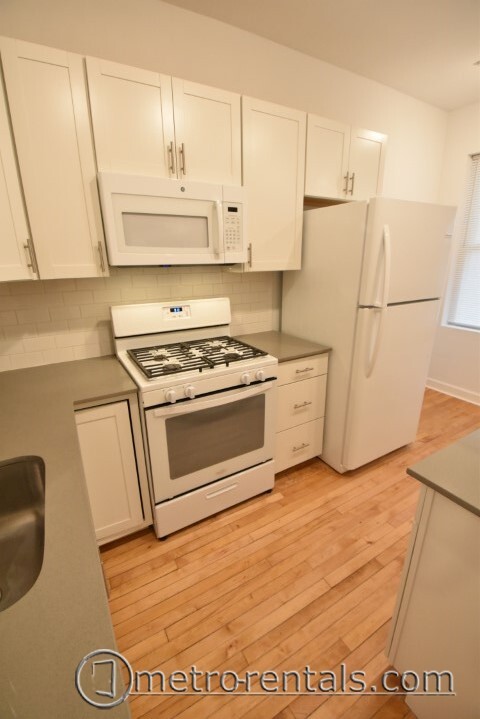 1029 N Wood St, Unit #2 in Chicago, IL - Building Photo