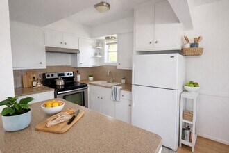 1906 Binz St in Houston, TX - Building Photo - Building Photo