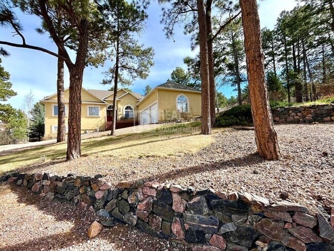 1550 Capadaro Ct in Monument, CO - Building Photo - Building Photo