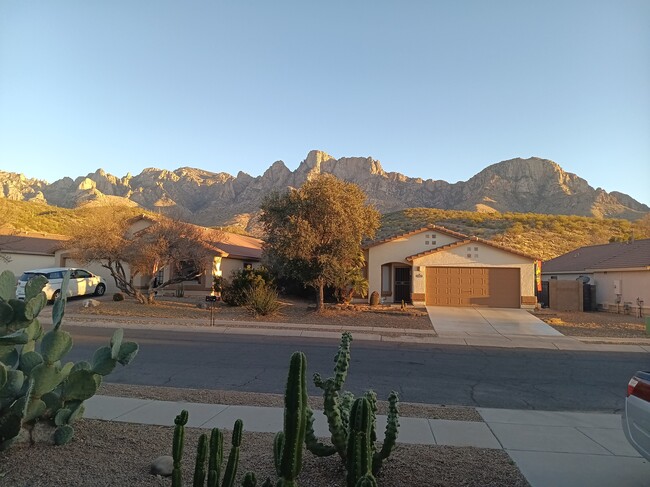 2411 E Stone Stable Dr in Tucson, AZ - Building Photo - Building Photo