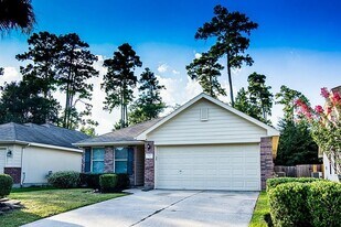 87 Hockenberry Pl in Conroe, TX - Building Photo