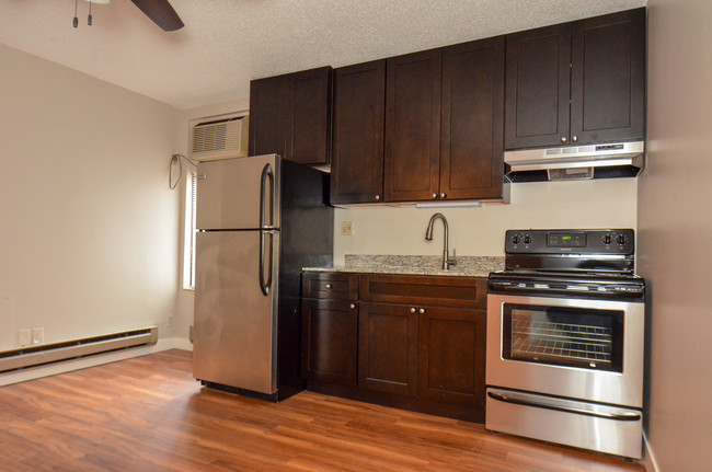 The Parkway Apartments Partners, LLC in Minneapolis, MN - Foto de edificio - Building Photo