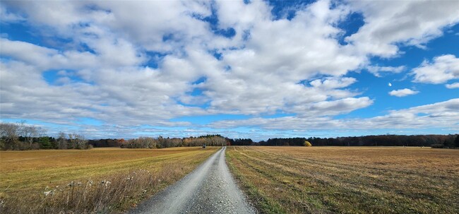 100 Grey Mouse Rd in Saugerties, NY - Building Photo - Building Photo
