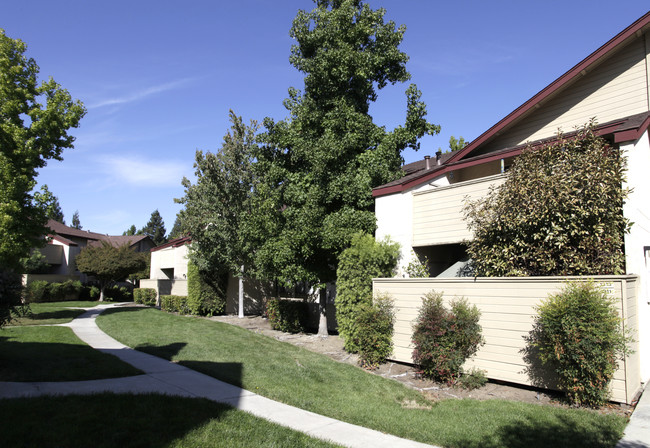 Muir Park Condos in Martinez, CA - Building Photo - Building Photo