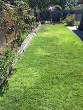 2906 Alameda St in Medford, OR - Building Photo - Building Photo