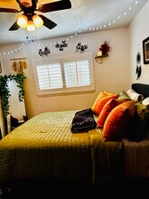 1702 Grand Park Dr in Missouri City, TX - Foto de edificio - Building Photo