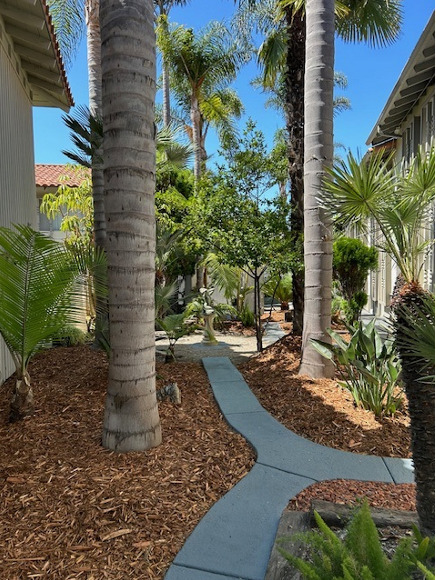 La Jollan Apartments in La Jolla, CA - Foto de edificio