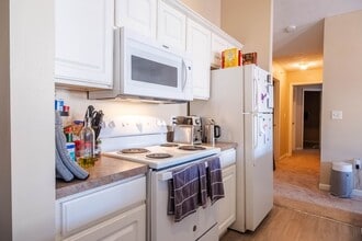 1903 N Lincoln Ave in Urbana, IL - Building Photo - Building Photo