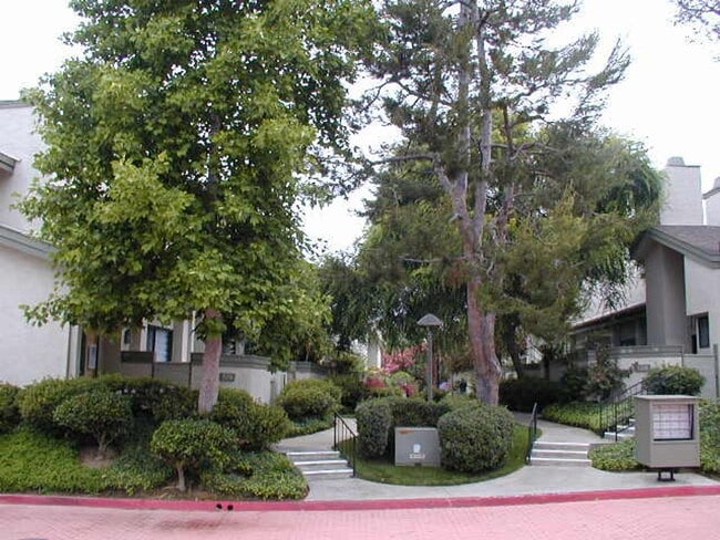 3216 Caminito Eastbluff