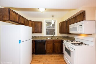 848 W Lill Ave, Unit 1 in Chicago, IL - Building Photo - Building Photo