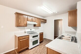 11316 Canterbury Tales Ln in Austin, TX - Building Photo - Building Photo