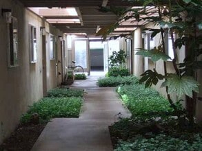 Campus Apartments in Eugene, OR - Foto de edificio - Building Photo