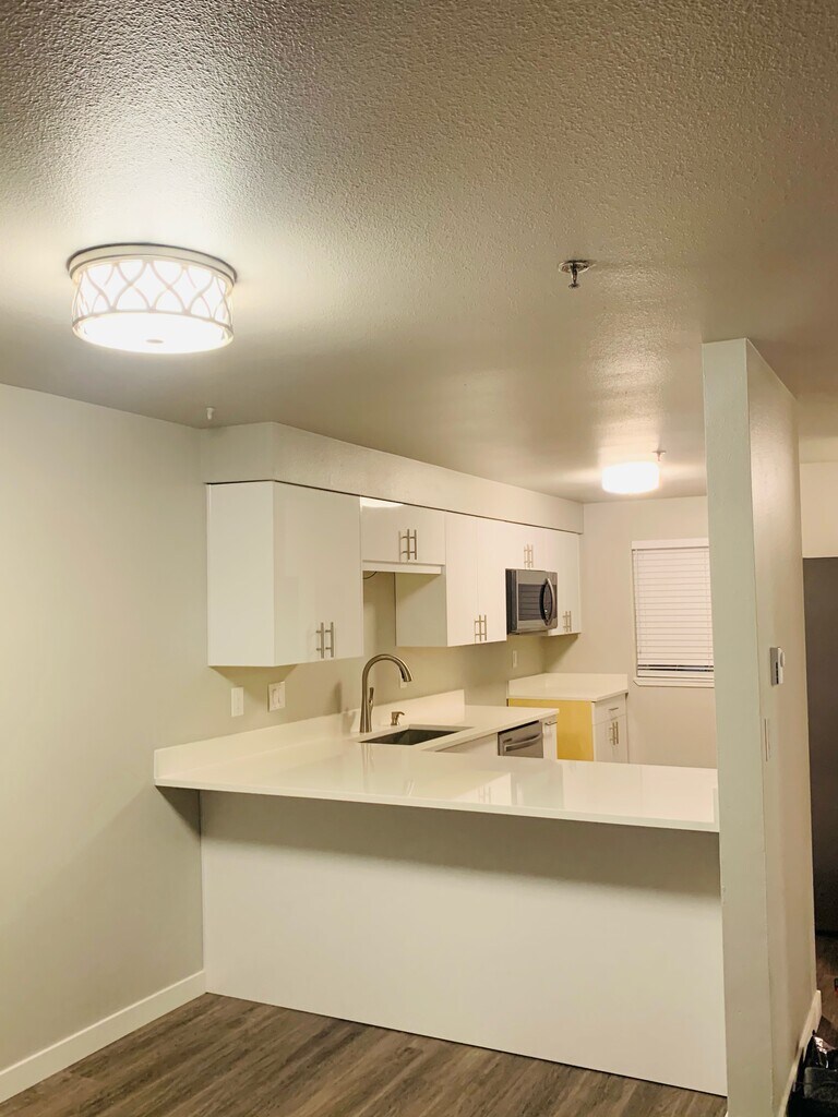 9731 Holly DrUnit 202 Rentals in Everett, WA