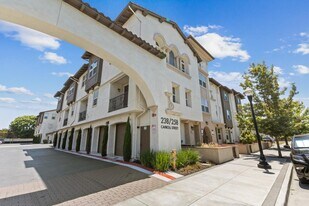 238 Carroll St in Sunnyvale, CA - Building Photo