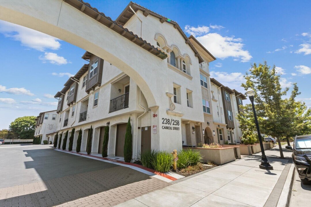 238 Carroll St in Sunnyvale, CA - Building Photo