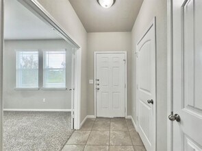 308 Craters of the Moon Blvd in Pflugerville, TX - Building Photo - Building Photo