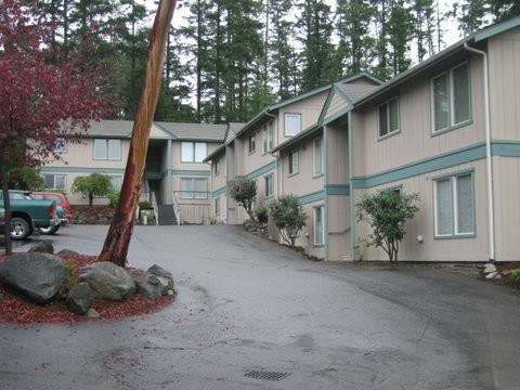 Madrona Court Apartments in Friday Harbor, WA - Building Photo