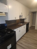 234 Crescent Ave in Buffalo, NY - Building Photo