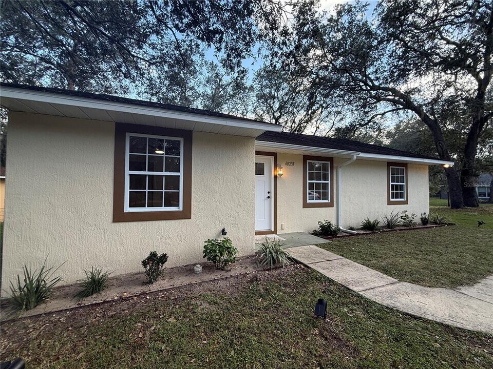40233 Palm St in Lady Lake, FL - Building Photo
