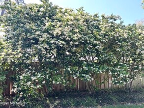 108 Abalone Ln E in Palm Valley, FL - Building Photo - Building Photo