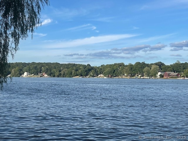 property at 118 Lake Shore Dr