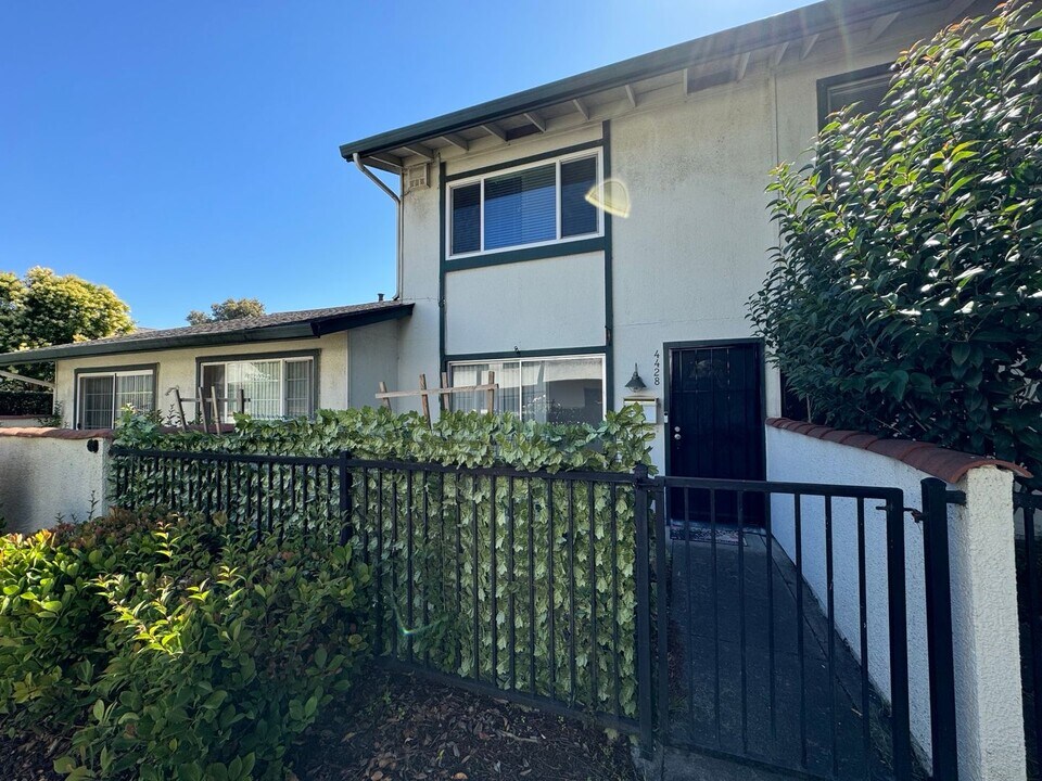 4428 Viejo Way in Union City, CA - Building Photo