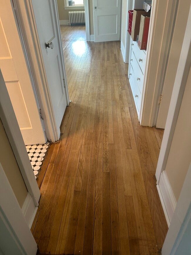 509 New Scotland Ave, Unit Apartment 2 in Albany, NY - Building Photo - Building Photo