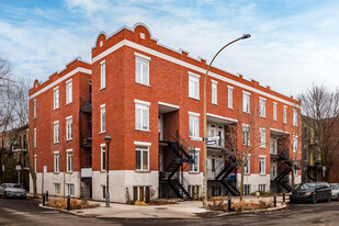 2218-2248 Marie-Anne St E in Montréal, QC - Building Photo