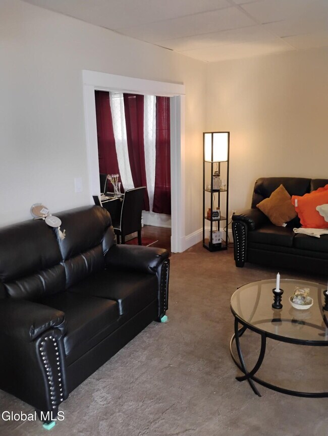 15 Arcadia Ave in Albany, NY - Building Photo - Building Photo