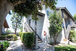 381 Orange Blossom in Irvine, CA - Building Photo