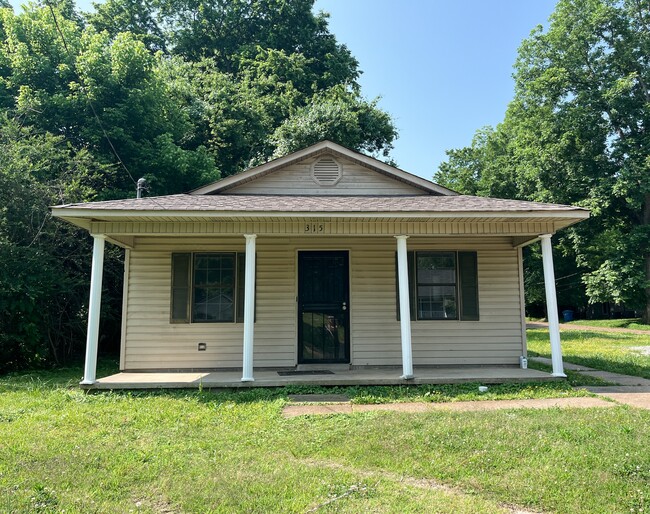 property at 315 Bledsoe Ave