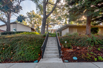 Vasona Terrace in Los Gatos, CA - Building Photo - Building Photo