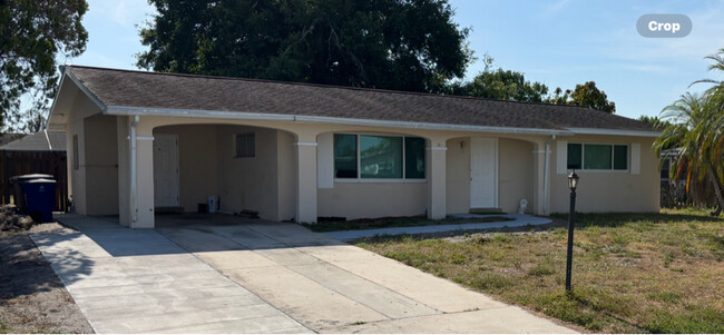 202 Punta Alta Ct in Lehigh Acres, FL - Building Photo - Building Photo