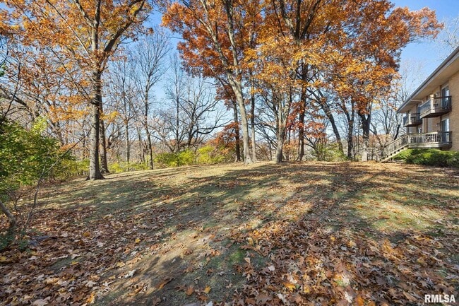 2315 W Cannes Dr in Peoria, IL - Building Photo - Building Photo