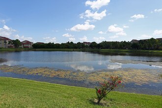 Camden Bay in Tampa, FL - Building Photo - Building Photo