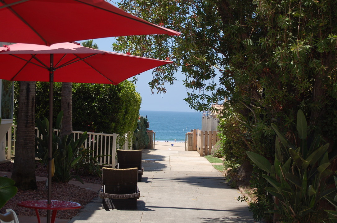 Ocean Avenue Apartments in Santa Monica, CA - Building Photo