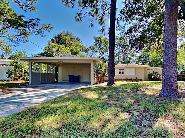 10927 Regency Dr in Jacksonville, FL - Building Photo