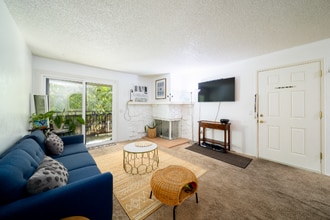 1013 S Sunshine Ave in El Cajon, CA - Foto de edificio - Building Photo