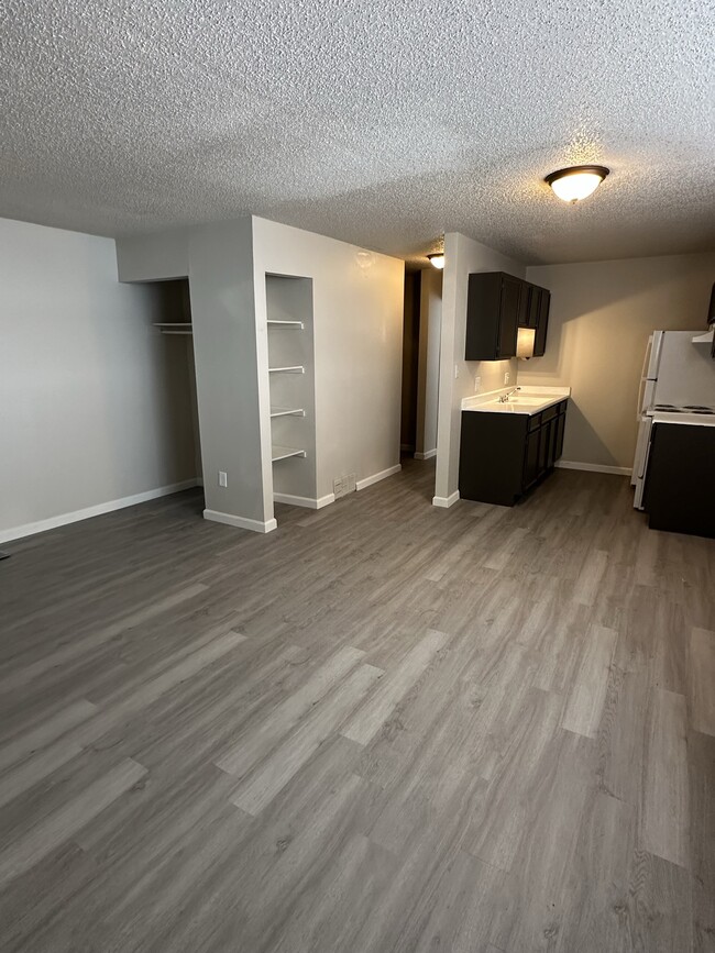 The Coachlight Apartments in Amarillo, TX - Building Photo - Building Photo