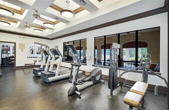 12990 Positano Cir in Naples, FL - Building Photo - Building Photo