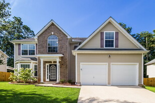 53 Birchfield Ct in Dallas, GA - Building Photo